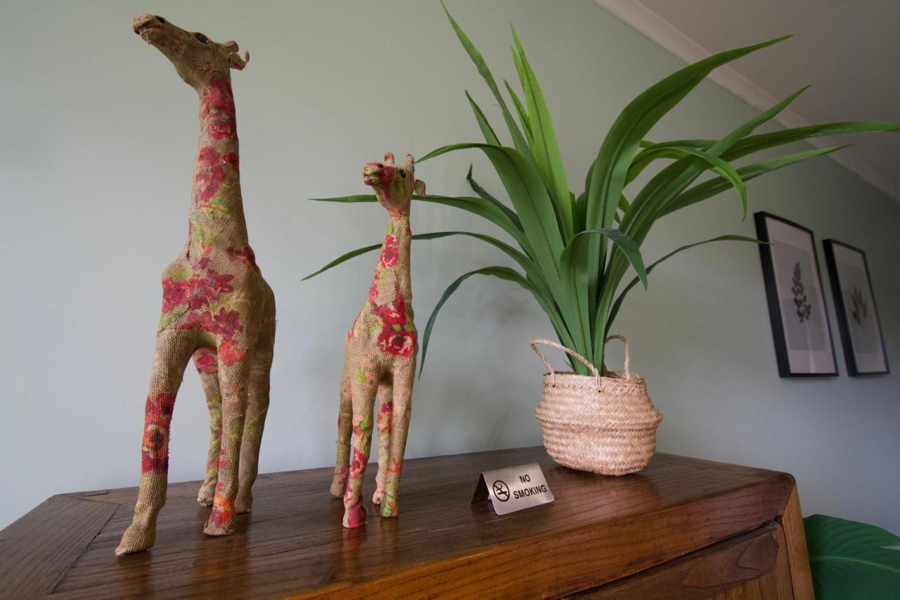 Sow And Piglets Hostel Port Campbell